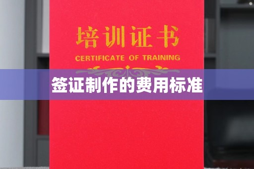 大通签证制作的费用标准