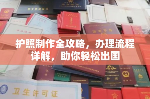 北辰护照制作全攻略，办理流程详解，助你轻松出国